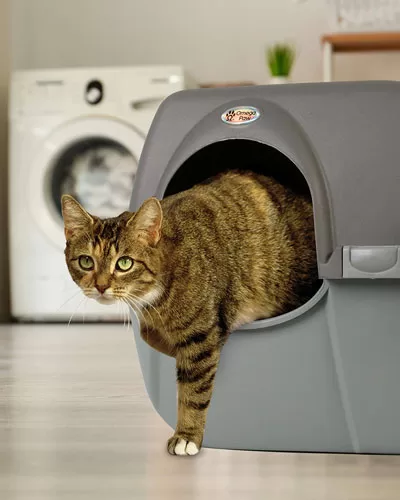 best litter box Omega Paw Roll'n Clean