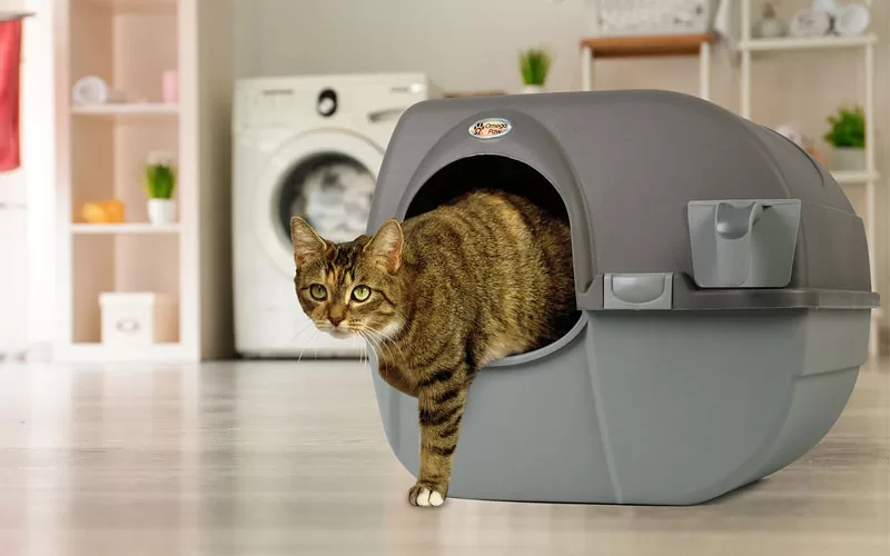 Best Litter Box Omega Paw Roll n Clean