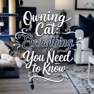 Owning a Cat: Everything You Need to Know