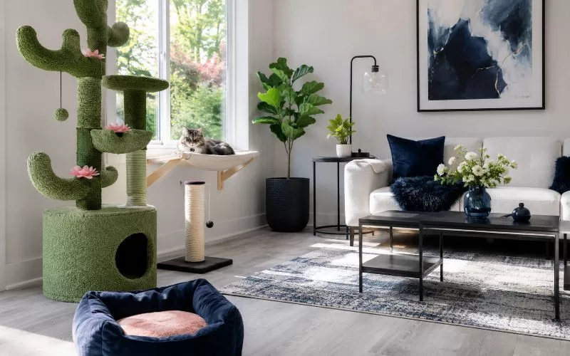 A cozy cat-friendly living room with a green cactus-style cat tree, scratching post, window perch, cat bed, and a resting indoor cat.