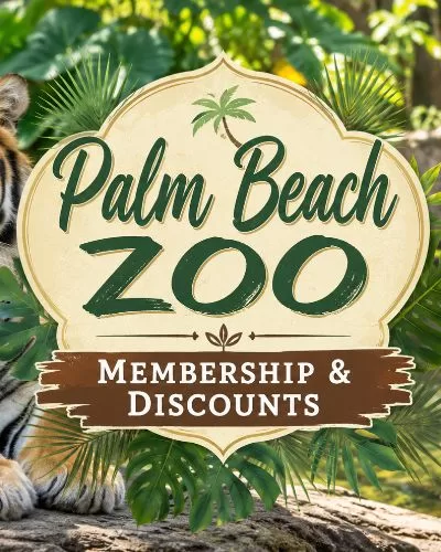 Tiger beside a Palm Beach Zoo membership and discounts title graphic.