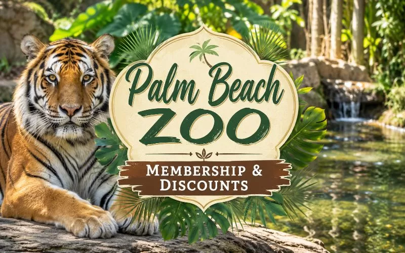 Tiger beside a Palm Beach Zoo membership and discounts title graphic.