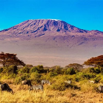 Kilimanjaro