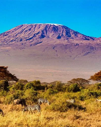 Kilimanjaro