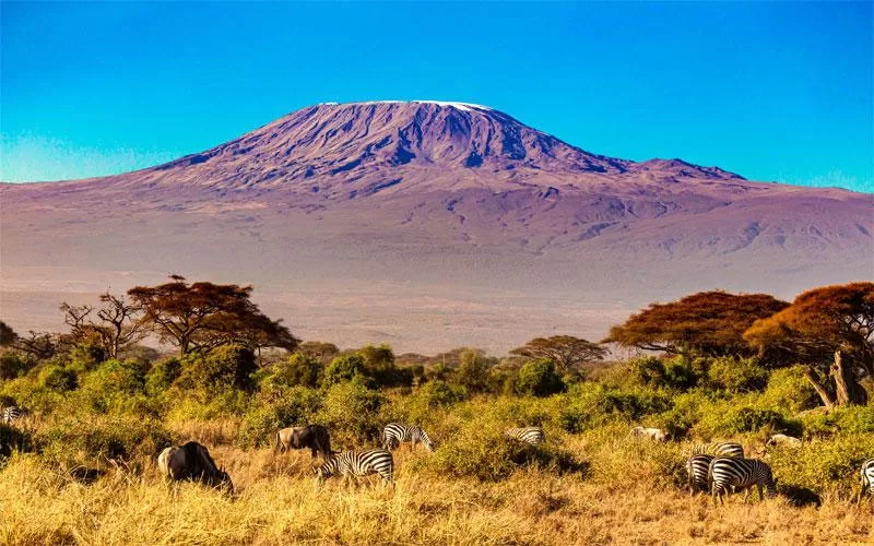 Kilimanjaro