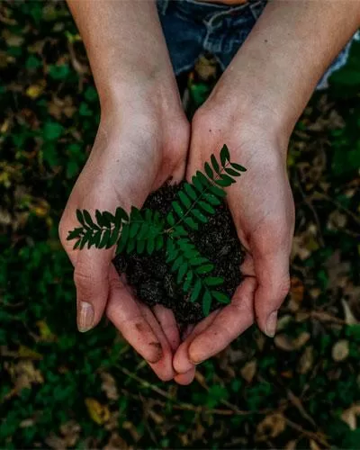 eco-friendly
