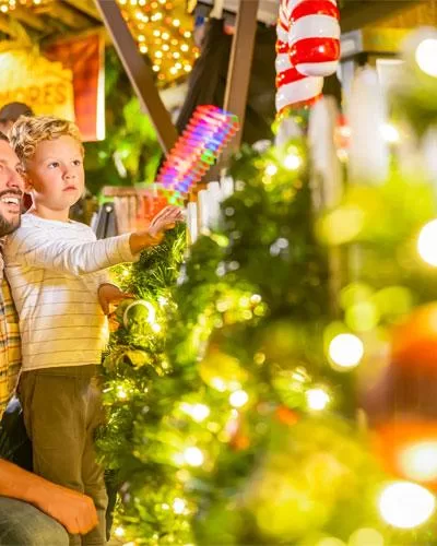 Zoo Lights at Palm Beach Zoo