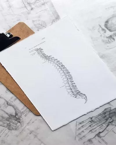 Choosing a Chiropractor