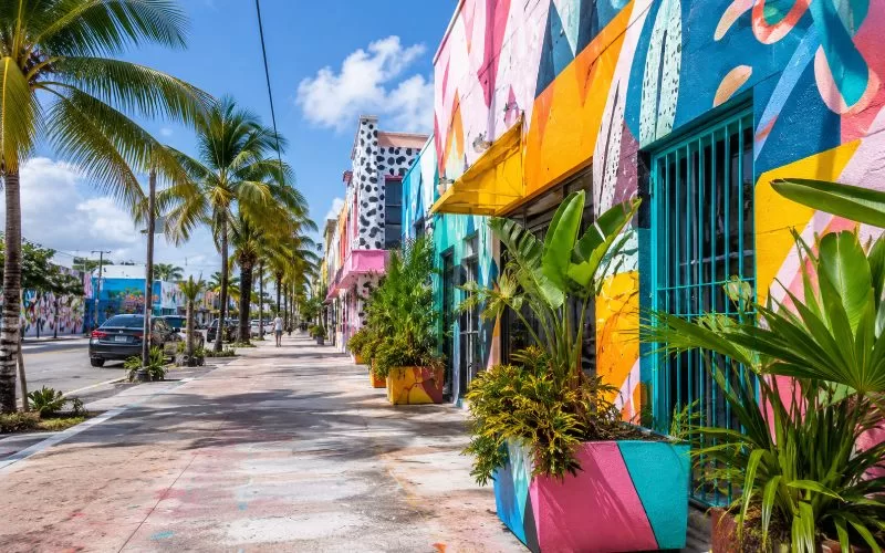 Colorful Miami-inspired arts district street with mural-style walls, palm trees, tropical plants, and a sunny sidewalk.