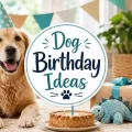 Happy dog wearing a party hat beside a dog birthday cake, wrapped gift, toy, and centered Dog Birthday Ideas title text.