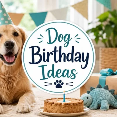 Dog Birthday Ideas: Simple Ways to Celebrate Your Pup