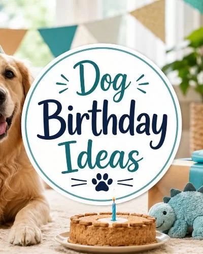 Happy dog wearing a party hat beside a dog birthday cake, wrapped gift, toy, and centered Dog Birthday Ideas title text.