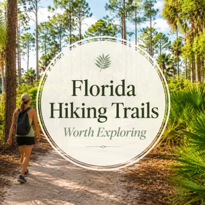 Florida Hiking Trails Worth Exploring for Scenic Walks and Fresh Air