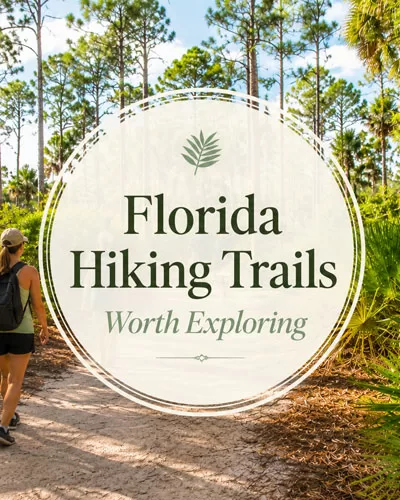 Florida hiking trail with hikers walking through palms and pine trees with a centered Florida Hiking Trails title graphic.