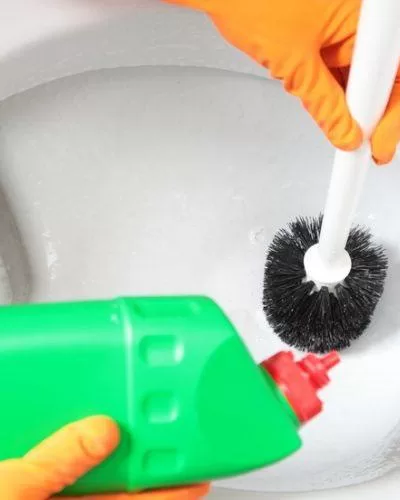 toilet cleaning