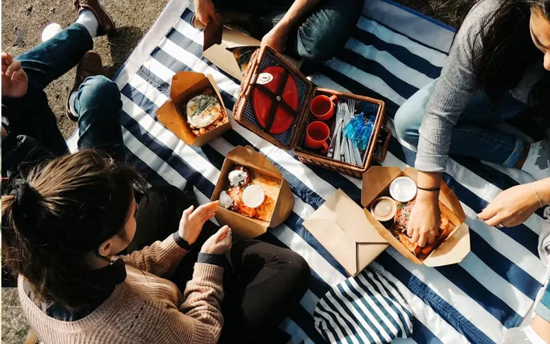 Fun Things To Do Together as a Family Picnic