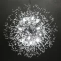 Dandelion Crystal Chandelier Review