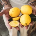 Growing Fruit Indoors