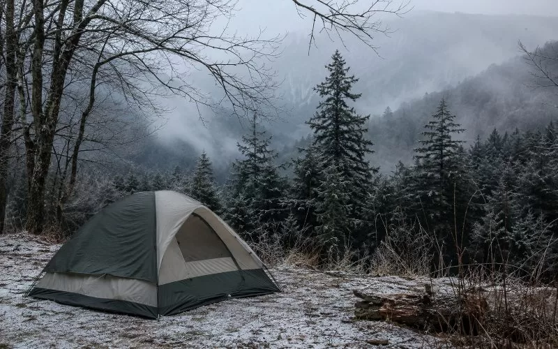 Tent campsite near bare winter trees, evergreen forest, light snow, and misty mountain fog.