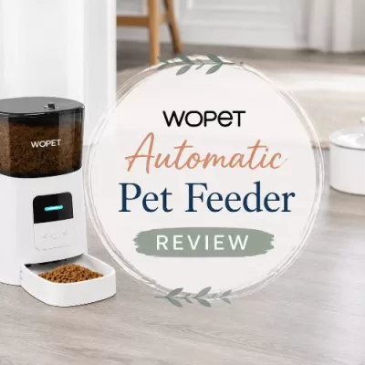 WOPET Automatic Pet Feeder Review: A Helpful WiFi Feeder for Pets