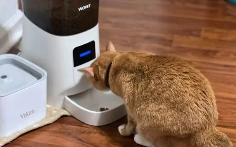 Orange cat eating from a white WOPET automatic pet feeder on wood flooring next to a pet water fountain.