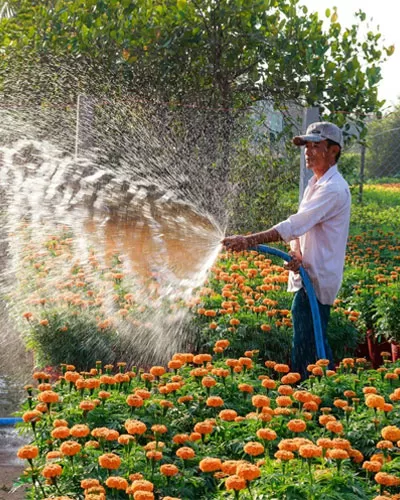 Becoming a Better Gardner