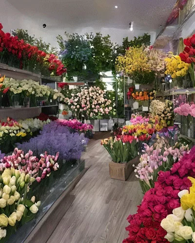 Best Flowers