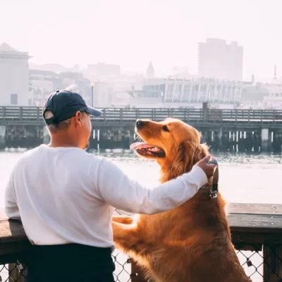 What Makes Certain Cities Great for Dogs