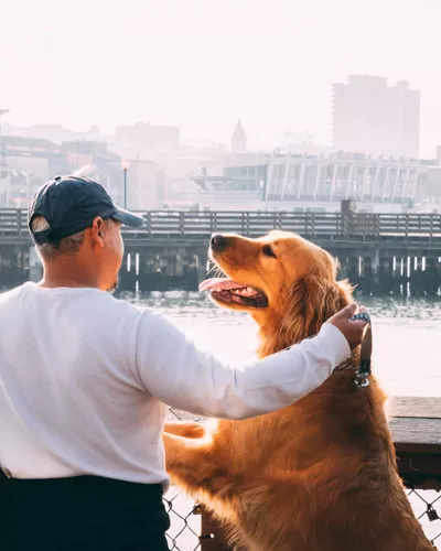 Cities Great for Dogs