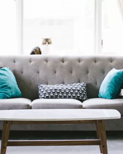 Elegant Sofa