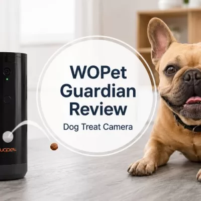 WOPet Guardian Dog Treat Camera Review: A Fun Pet Camera With Treat Dispenser