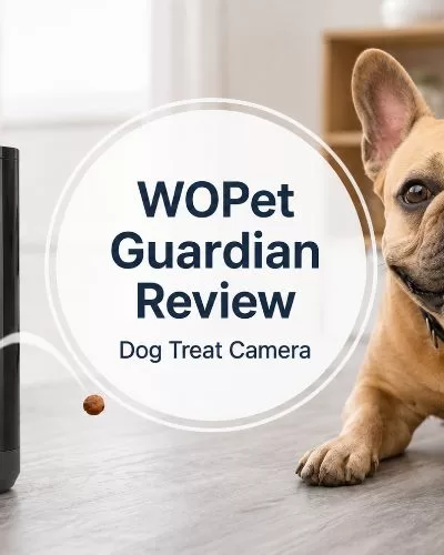 WOPet Guardian Dog Treat Camera review image with a smiling French Bulldog beside a black pet camera and treat dispenser on a gray floor.