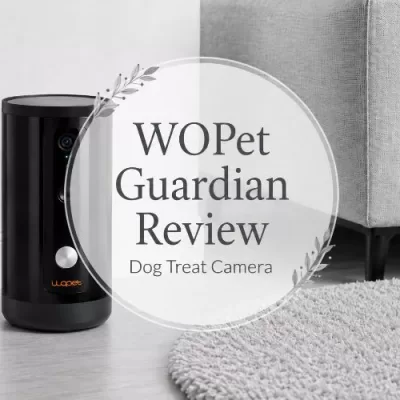 WOPet Camera Review: Guardian Dog Treat Camera With 360° View