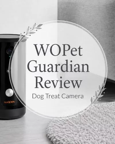 WOPet Guardian Dog Treat Camera in a gray and white living room with overlay text reading WOPet Guardian Review Dog Treat Camera.