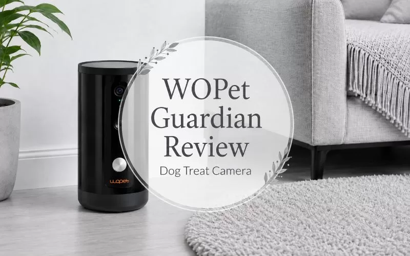 WOPet Guardian Dog Treat Camera in a gray and white living room with overlay text reading WOPet Guardian Review Dog Treat Camera.