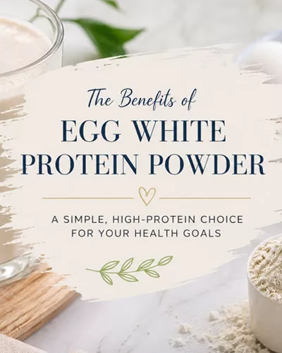 Protein shake, eggs, egg whites, and protein powder arranged with a decorative title graphic for egg white protein powder.