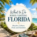 Florida travel graphic with palm trees, beach, sunshine, seafood, Cuban coffee, and the title What to Do When Visiting Florida.