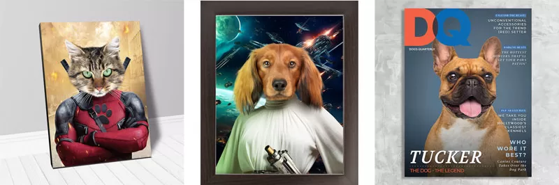 pet portraits