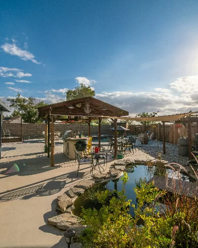 Backyard Upgrades