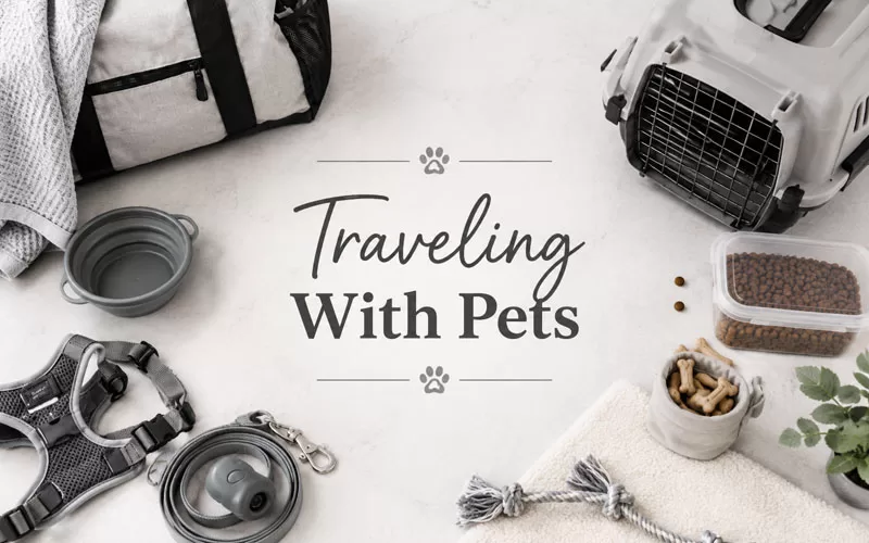 Pet travel essentials arranged around the words Traveling With Pets, including a carrier, bowl, leash, harness, treats, blanket, and travel bag.