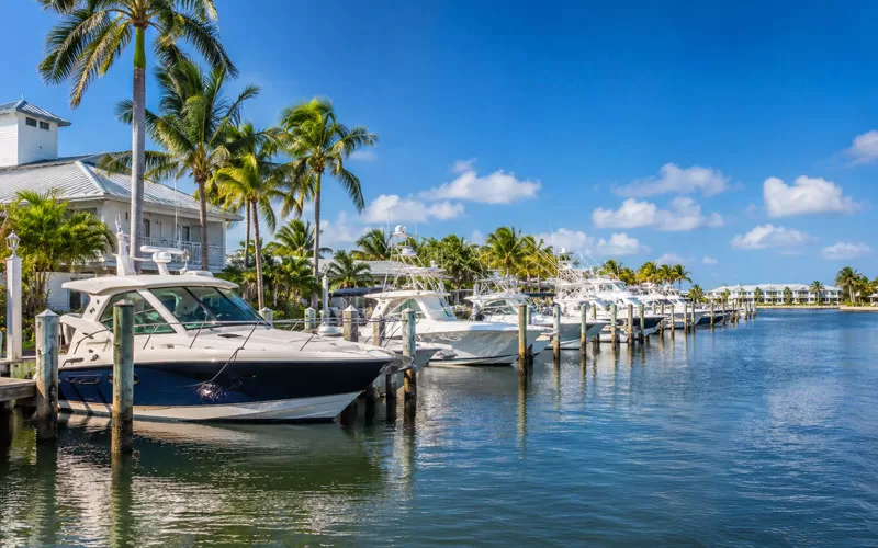 Sunny Florida marina with boats docked along calm blue water and palm trees under a bright sky.