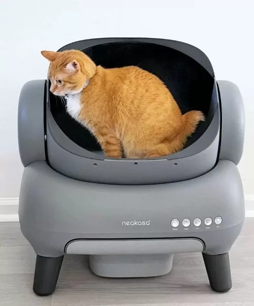Orange cat sitting inside the Neakasa M1 self-cleaning litter box