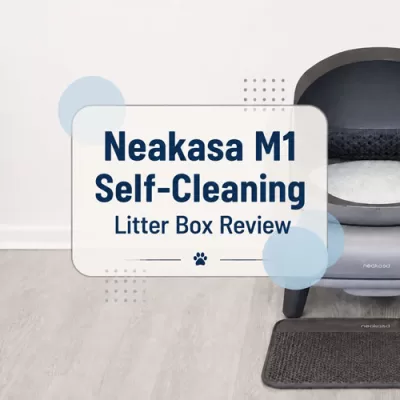 Neakasa M1 Self-Cleaning Litter Box Review + Discount Code