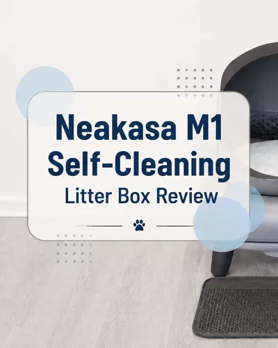 Neakasa M1 Self-Cleaning Litter Box Review featured image showing the automatic litter box in a home setting with a centered product review title graphic.