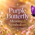 Purple butterfly beside decorative text about purple butterfly meaning and symbolism