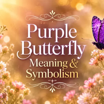 Purple Butterfly Meaning: Symbolism, Spiritual Signs, and My Personal Story