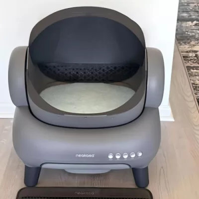 self-cleaning litter box