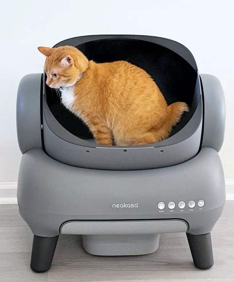 self-cleaning litter box