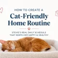 Orange cat resting on a plush window perch with centered text about creating a cat-friendly home routine.