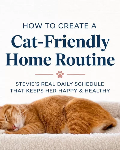 Orange cat resting on a plush window perch with centered text about creating a cat-friendly home routine.